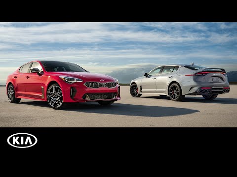 First Look | 2022 Kia Stinger Reveal